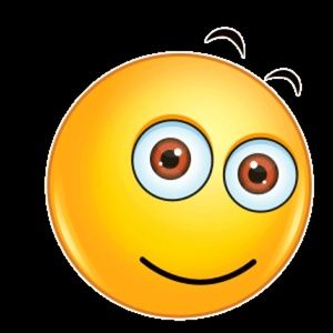 Meet your Posher, Arlene